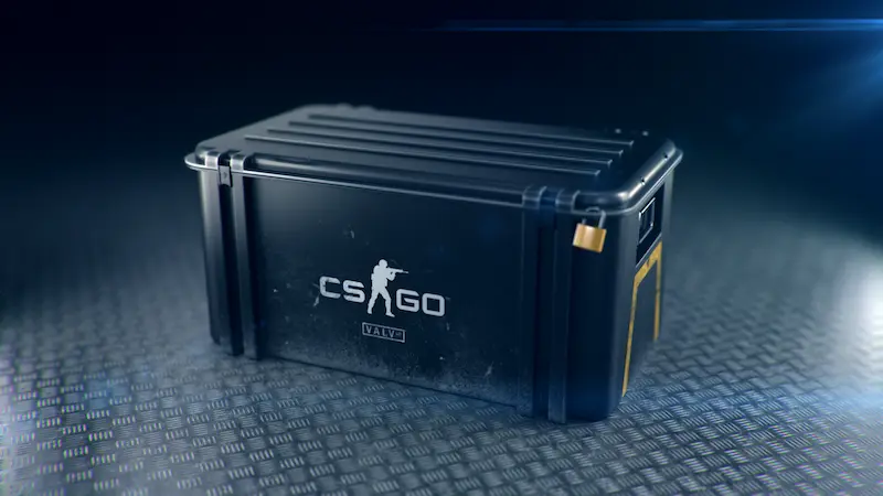 Cases